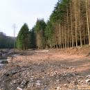 Log Cabin site before construction.