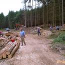 Gathering and preparing logs.