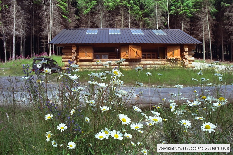 Log Cabin and wild flower meadow.